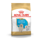 Royal Canin Golden Retriever Puppy – Hrană Uscată pentru Pui de Câine din Rasa Golden Retriever – 12 kg